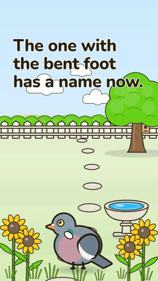 The first frame of the film: in a sunny garden with a fence and sunflowers, a pigeon stands by a bird bath beneath the words "The one with the bent foot has a name now." Soft woodland music and a robin singing play with the film.